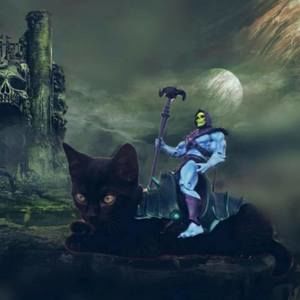 Meet your Posher, Edward